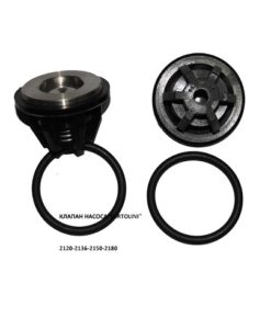 klapan-nasosa-620040312-bertolini